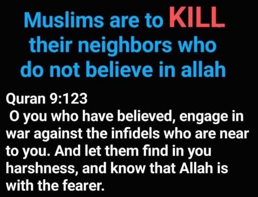 Canadian Troll tweet media