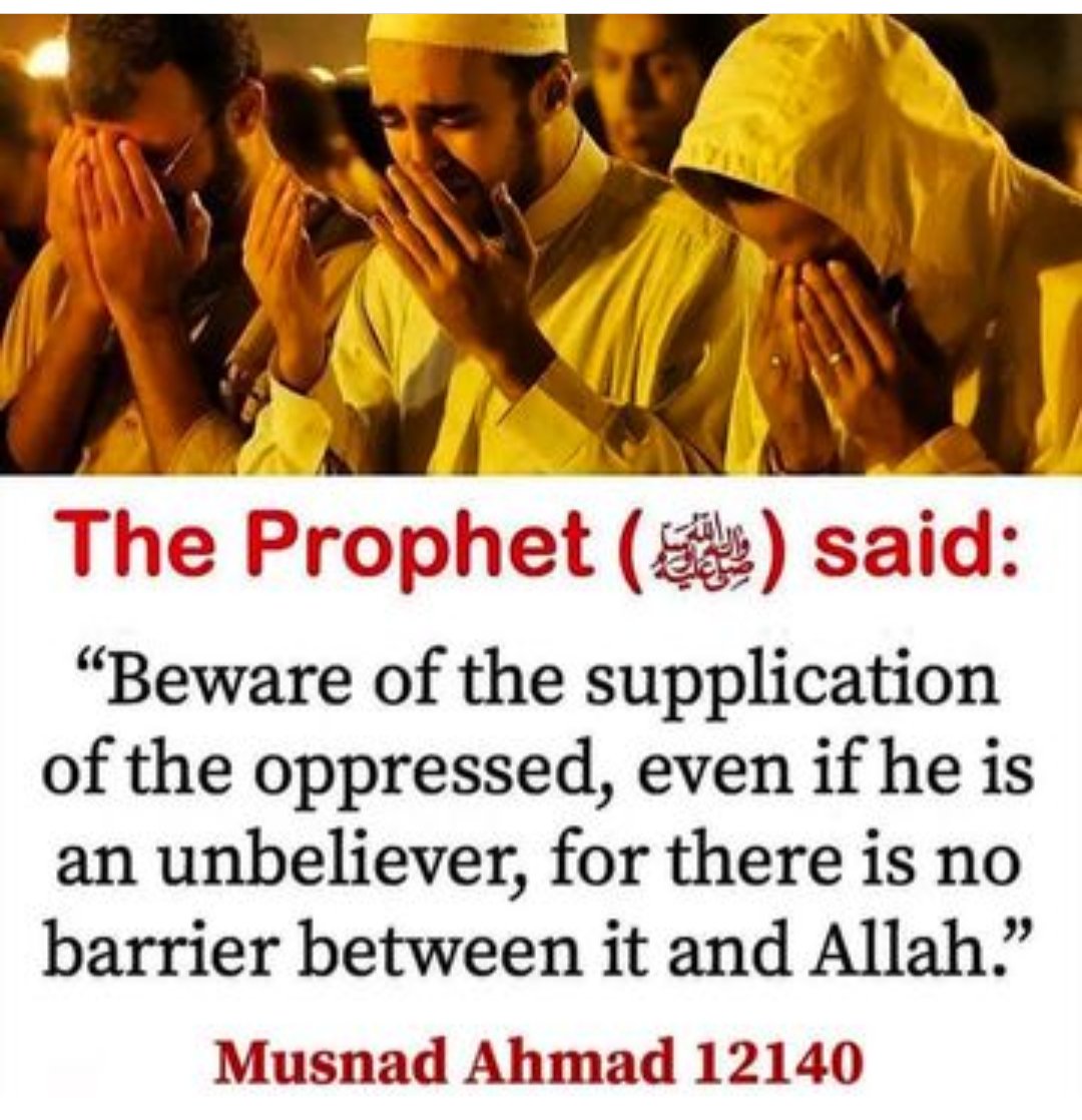 Yusuff Shariff tweet media