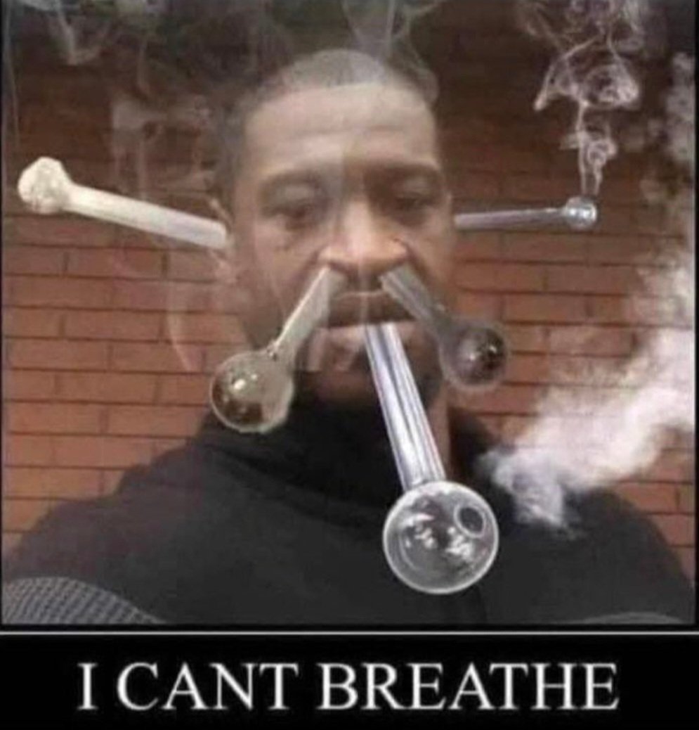 Canadian Troll tweet media