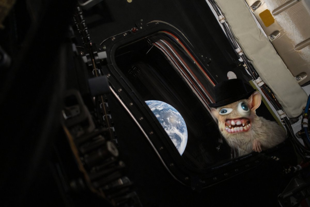 Sₚₒₙgₘₒₙₖₑyₛ tweet media