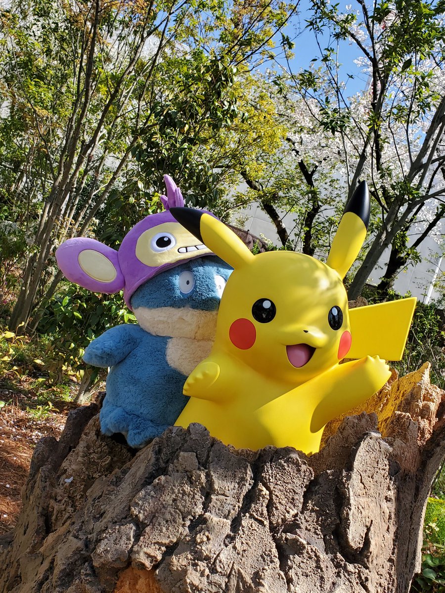 balsan国王 tweet media