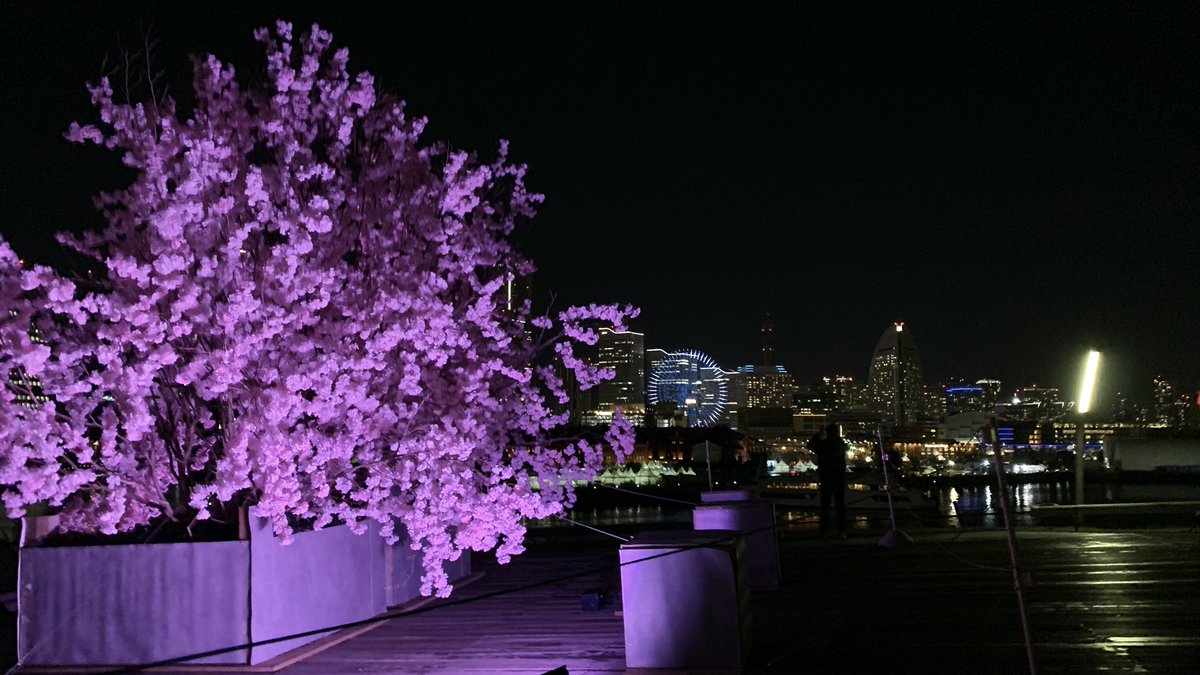 もこだて tweet media