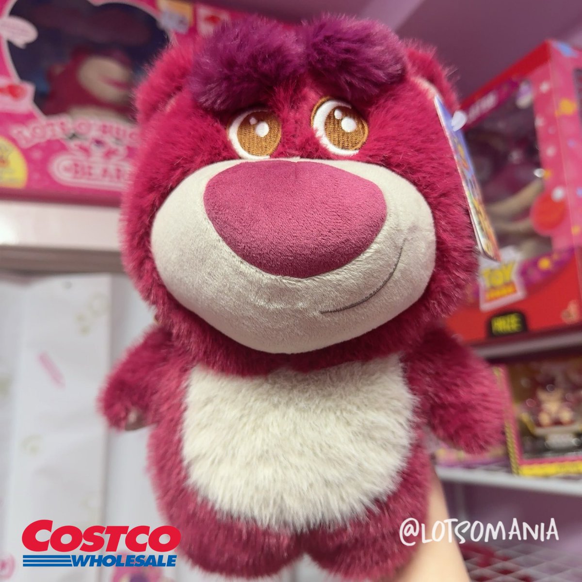 ロッツォ コレクター🇯🇵 (@Lotso_mania) / Posts / X