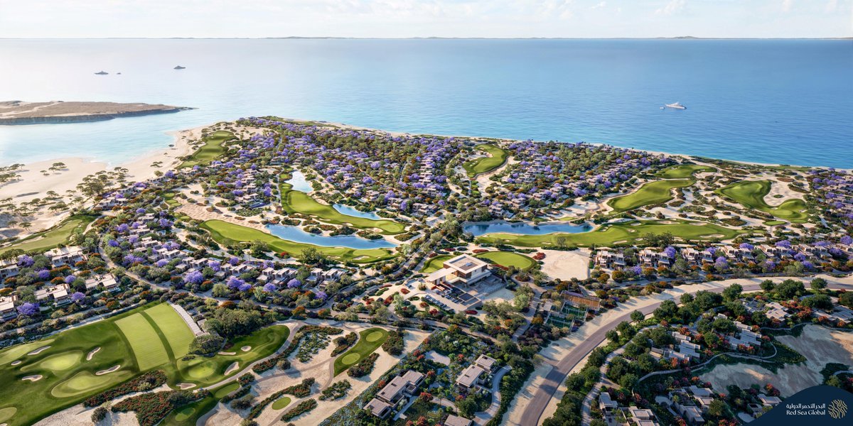 دياريو الأهلي tweet media