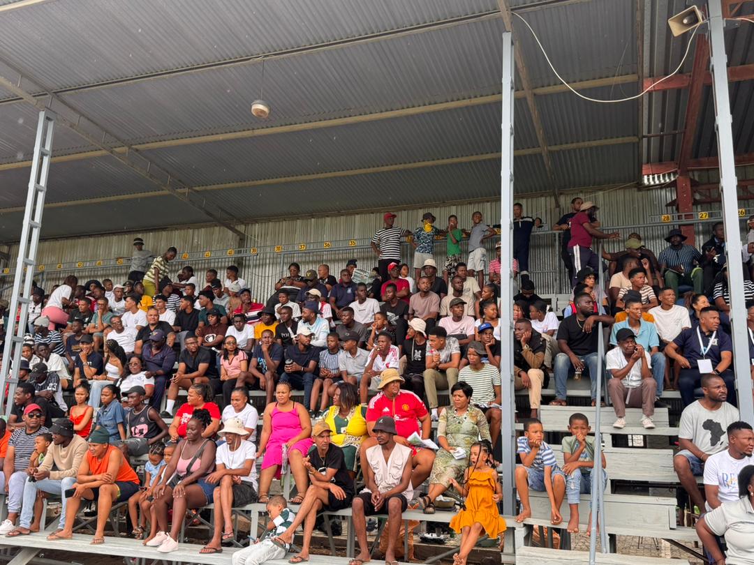 The Namibian tweet media