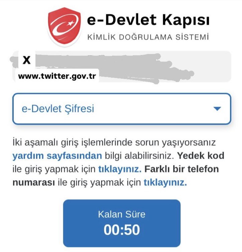 Gökçe Katun tweet media