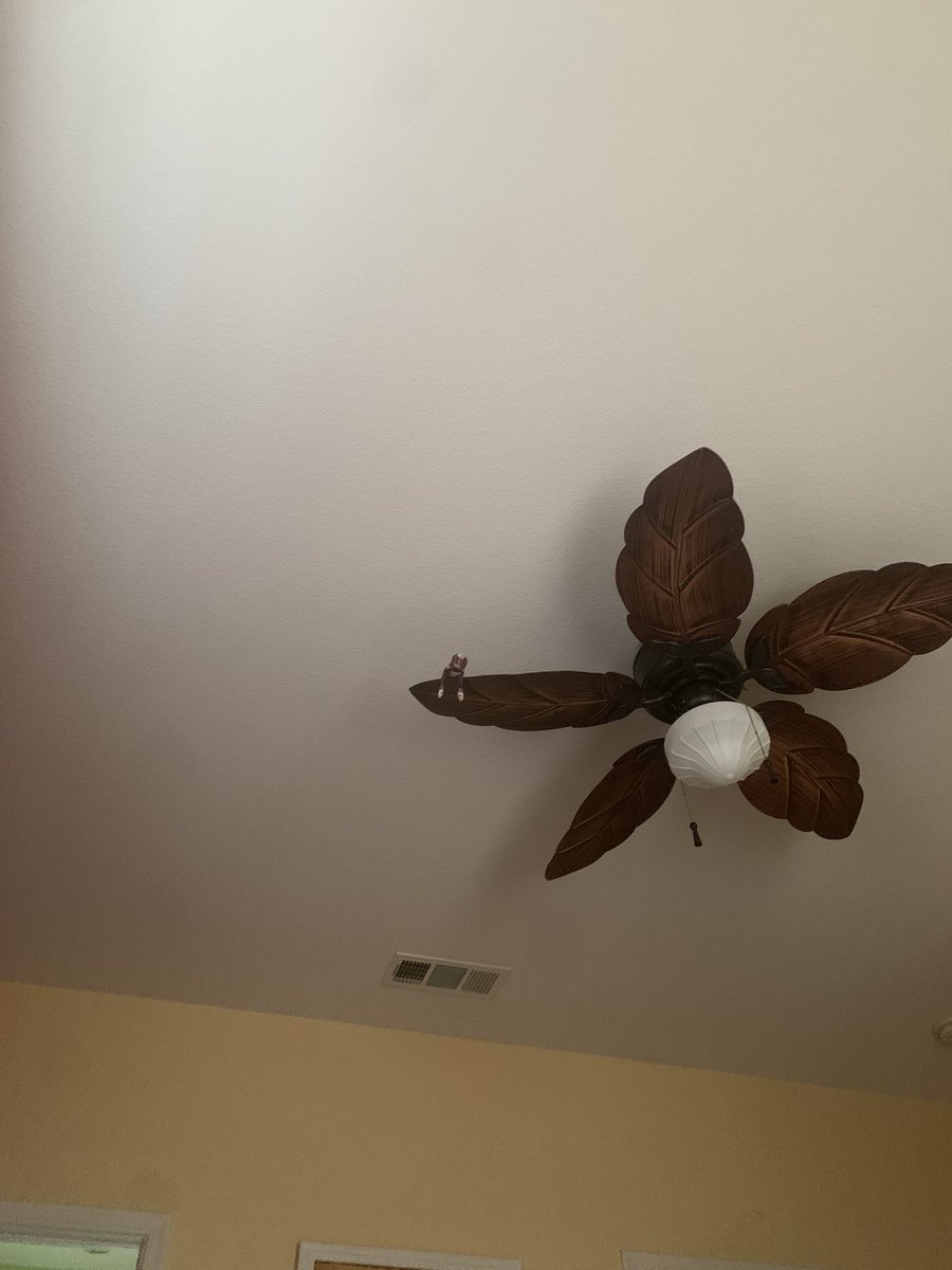 Akari ☆⁎⁺˳✧༚ tweet media