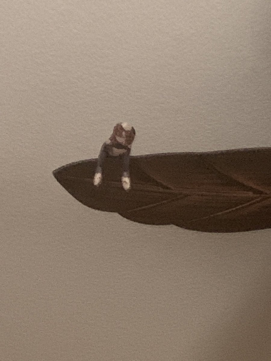 Akari ☆⁎⁺˳✧༚ tweet media