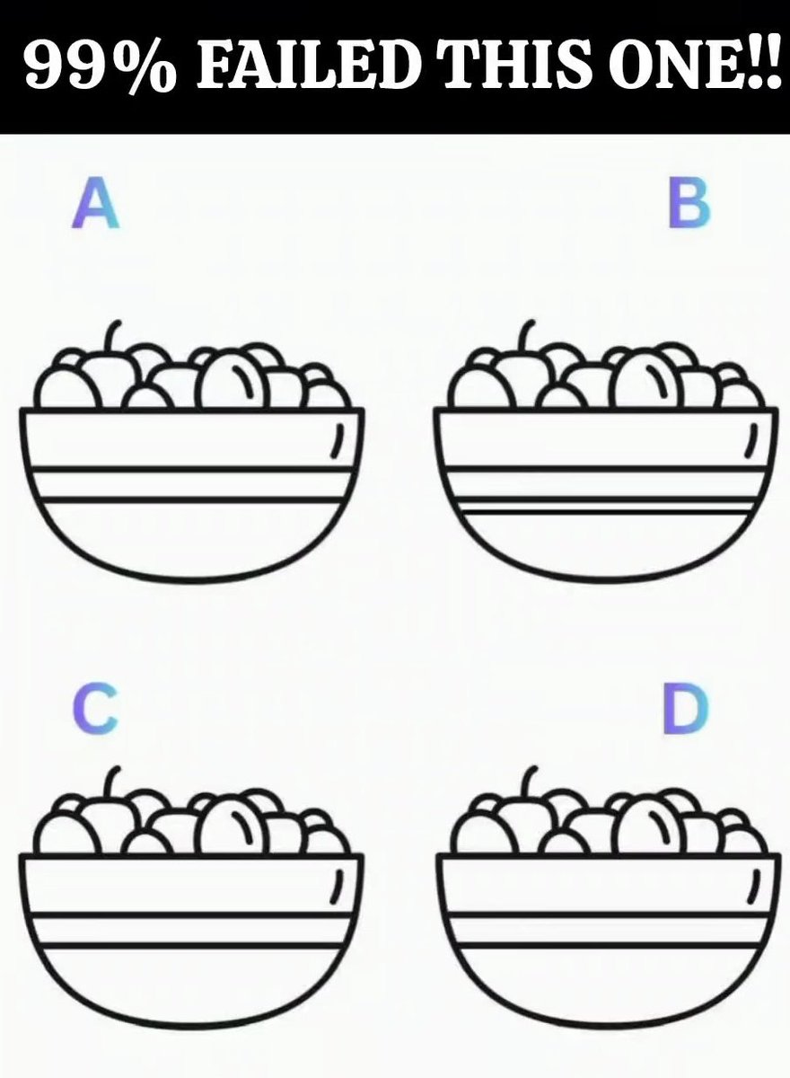 xylomyst✨ tweet media
