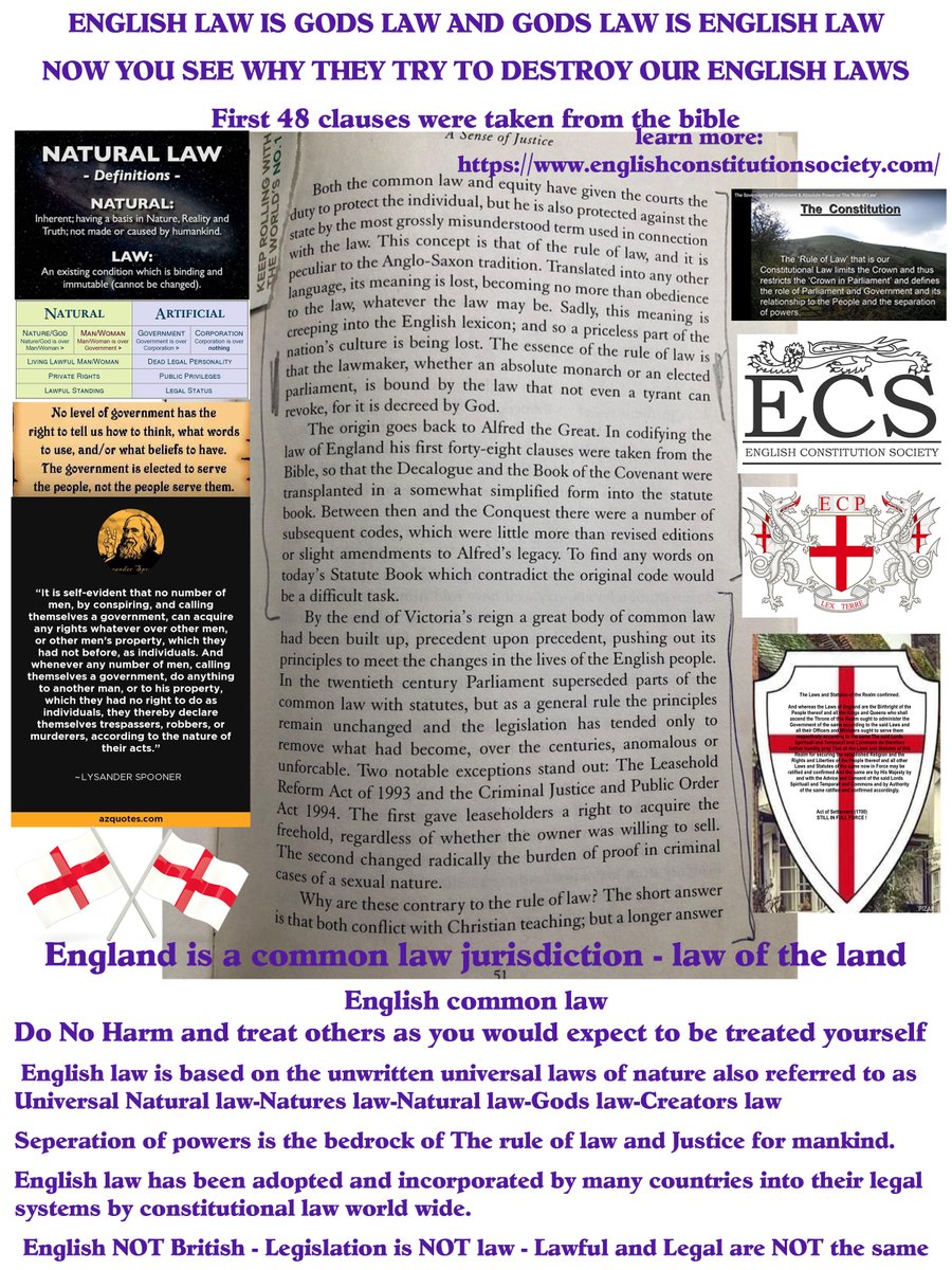 Steve Reed tweet media