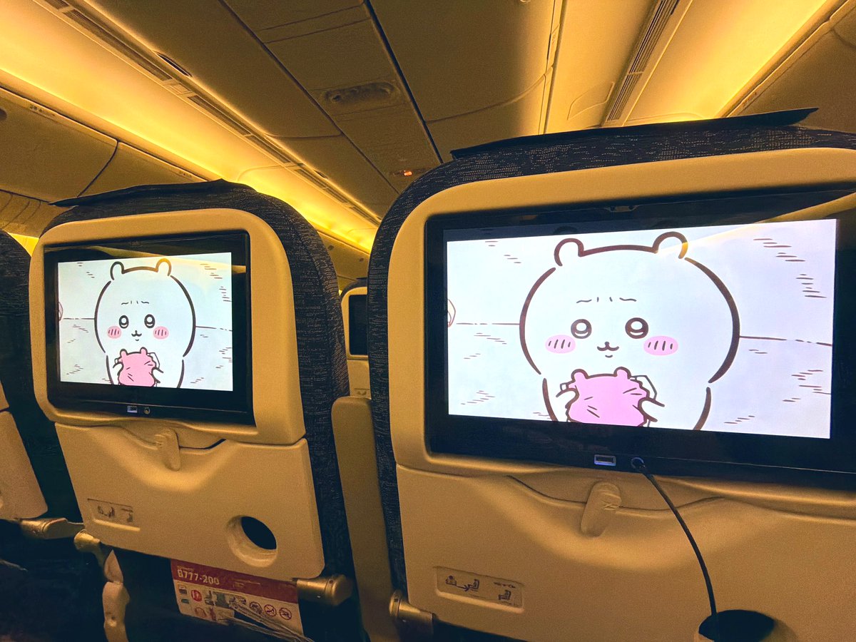 志穂っ子 tweet media