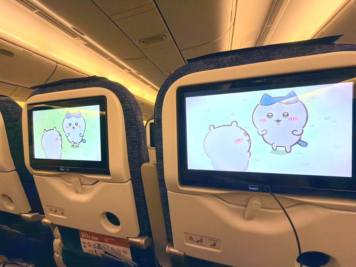 志穂っ子 tweet media