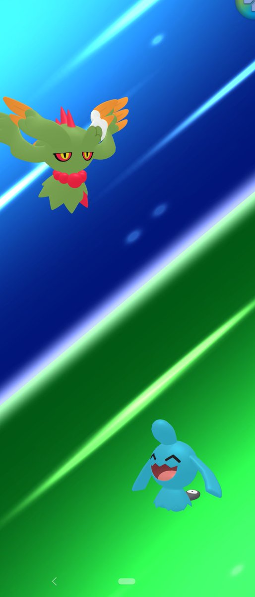 竜崎果恵 tweet media