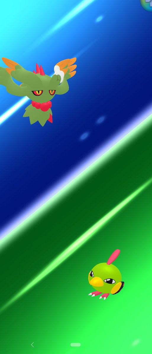 竜崎果恵 tweet media