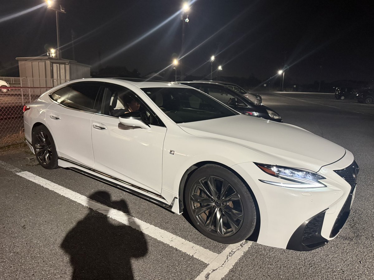 -CAT- ねるネコ! tweet media