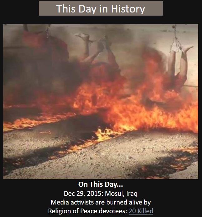 Canadian Troll tweet media