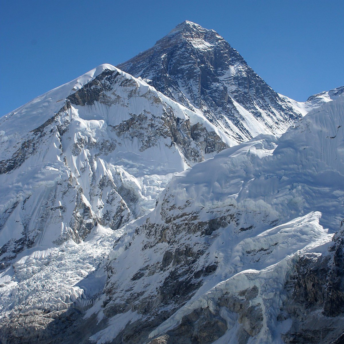 Pusholder tweet media