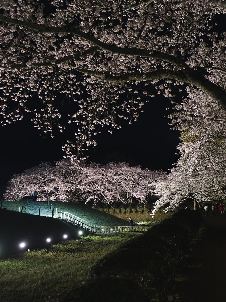 やぎパカ🐧 tweet media