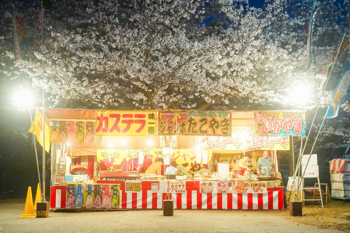 大阪城・難波宮跡
今日の桜はこんな感じでした🌸

お花見をしてる人がたくさん。