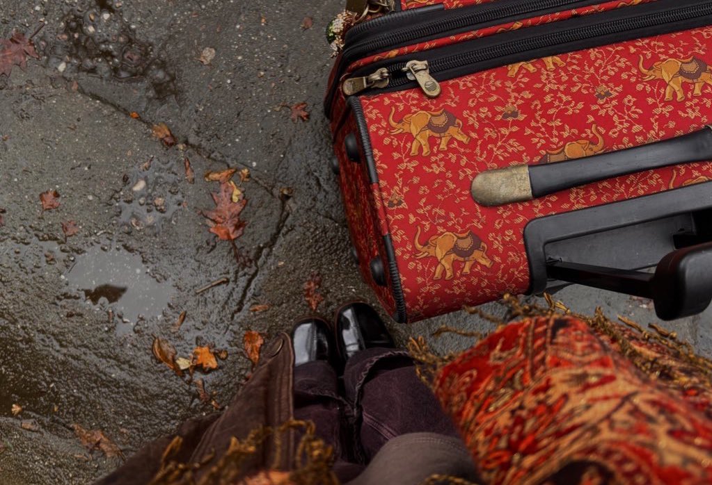 𝓅𝑜𝓁𝓁𝓎 tweet media