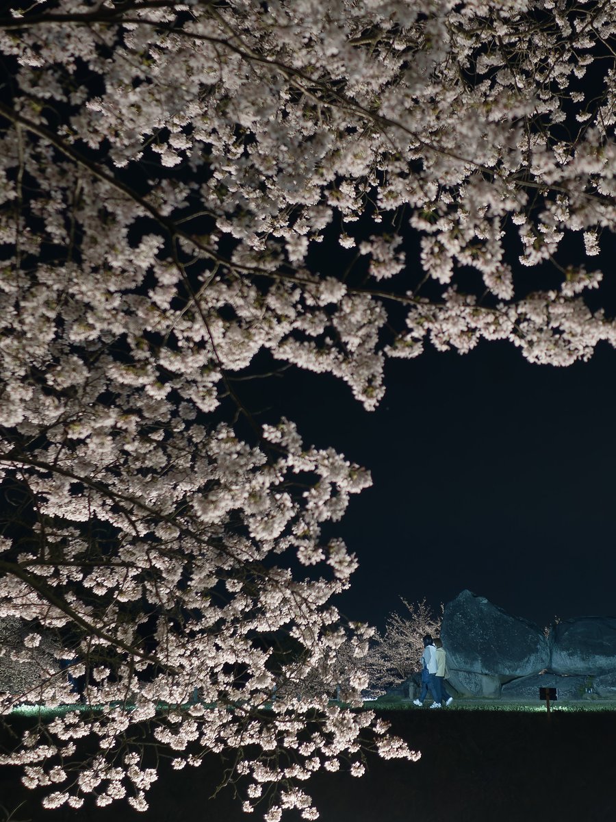 やぎパカ🐧 tweet media