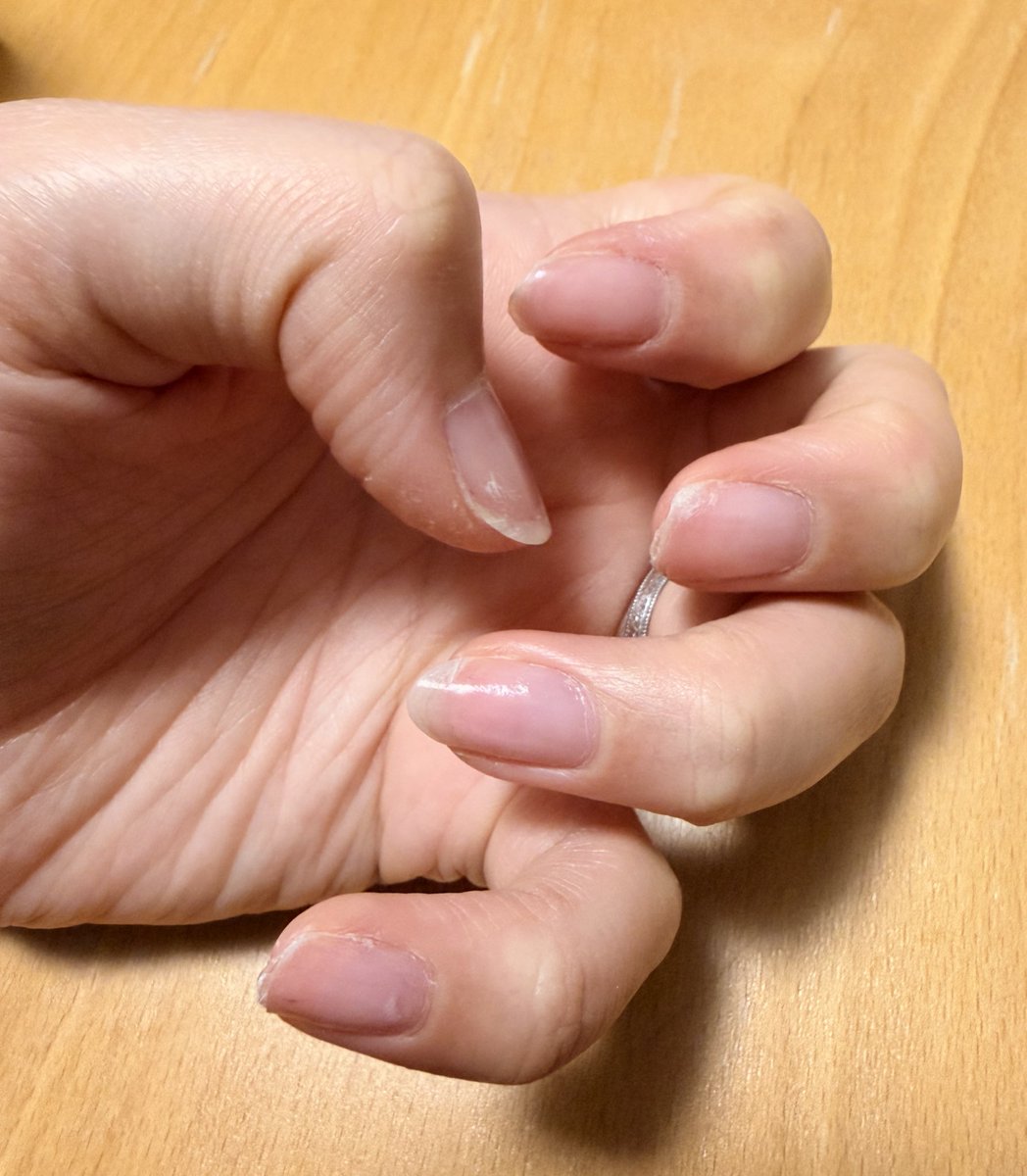 かーた㊱党大会3/24.3/25呉🍎 tweet media