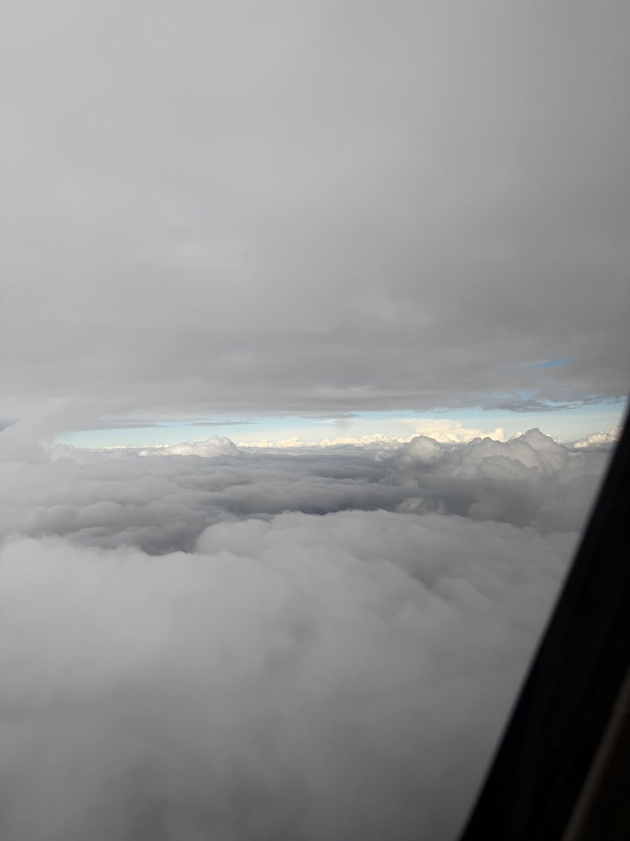 Mark Pope tweet media