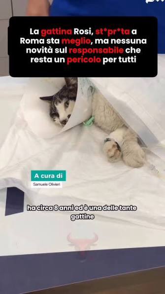 Grouchenka Nitsyne tweet media