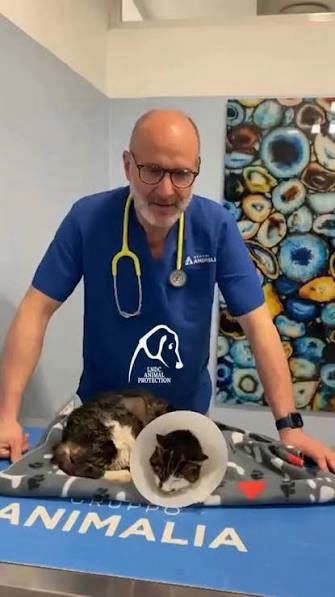 Grouchenka Nitsyne tweet media