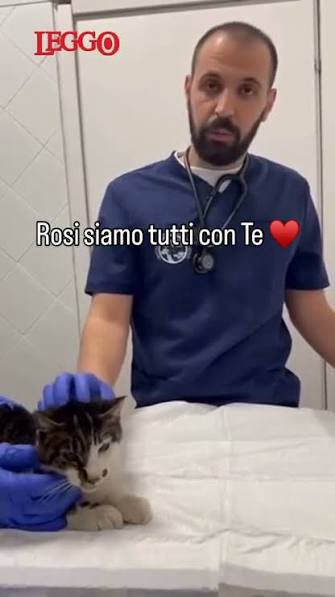 Grouchenka Nitsyne tweet media