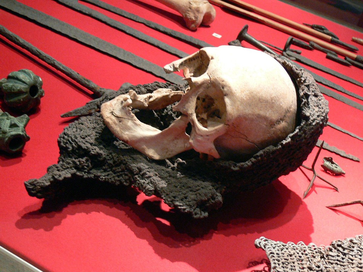 MyTrueAncestry tweet media