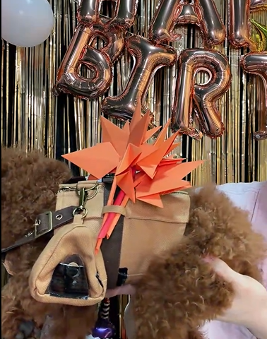 ♡𝗺𝗼𝗰𝗵𝗶⁷♡ tweet media