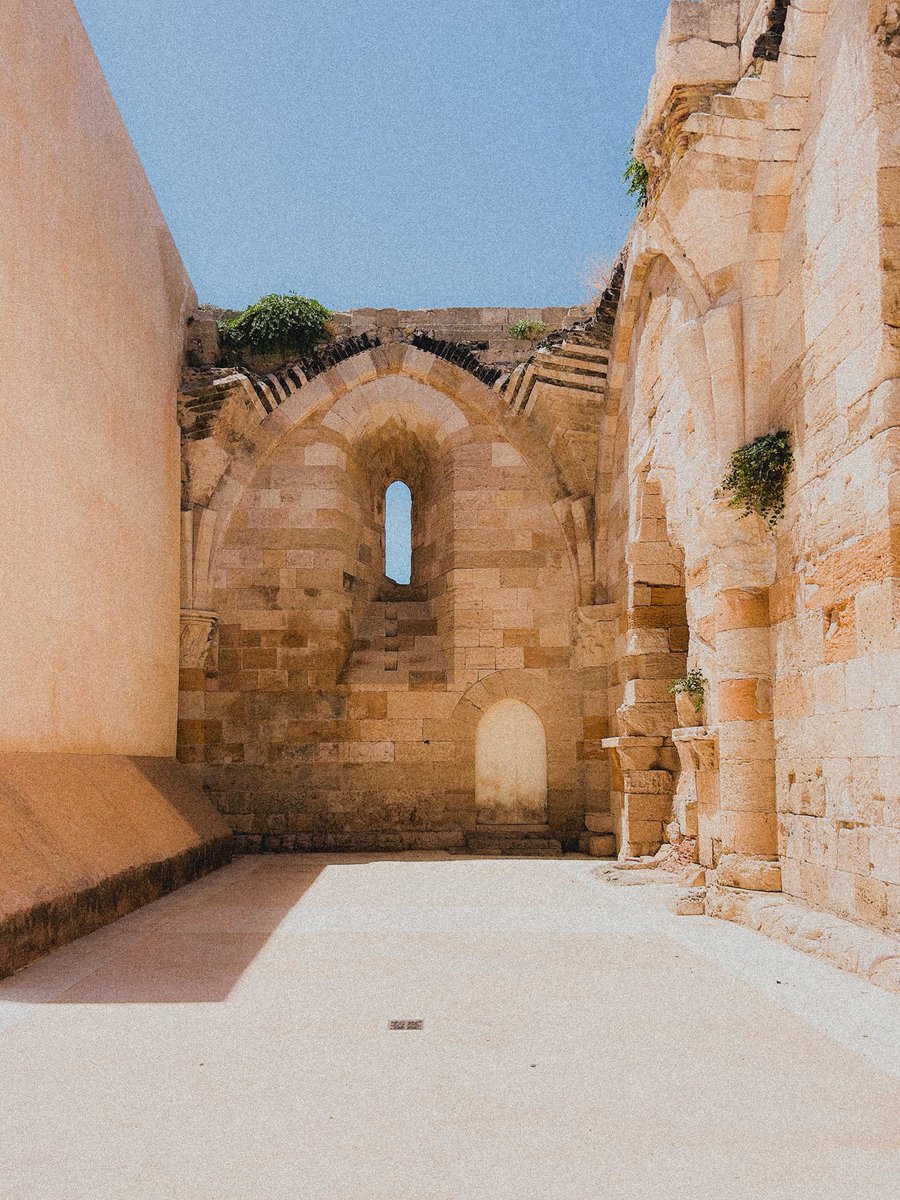 FritturaMista® tweet media