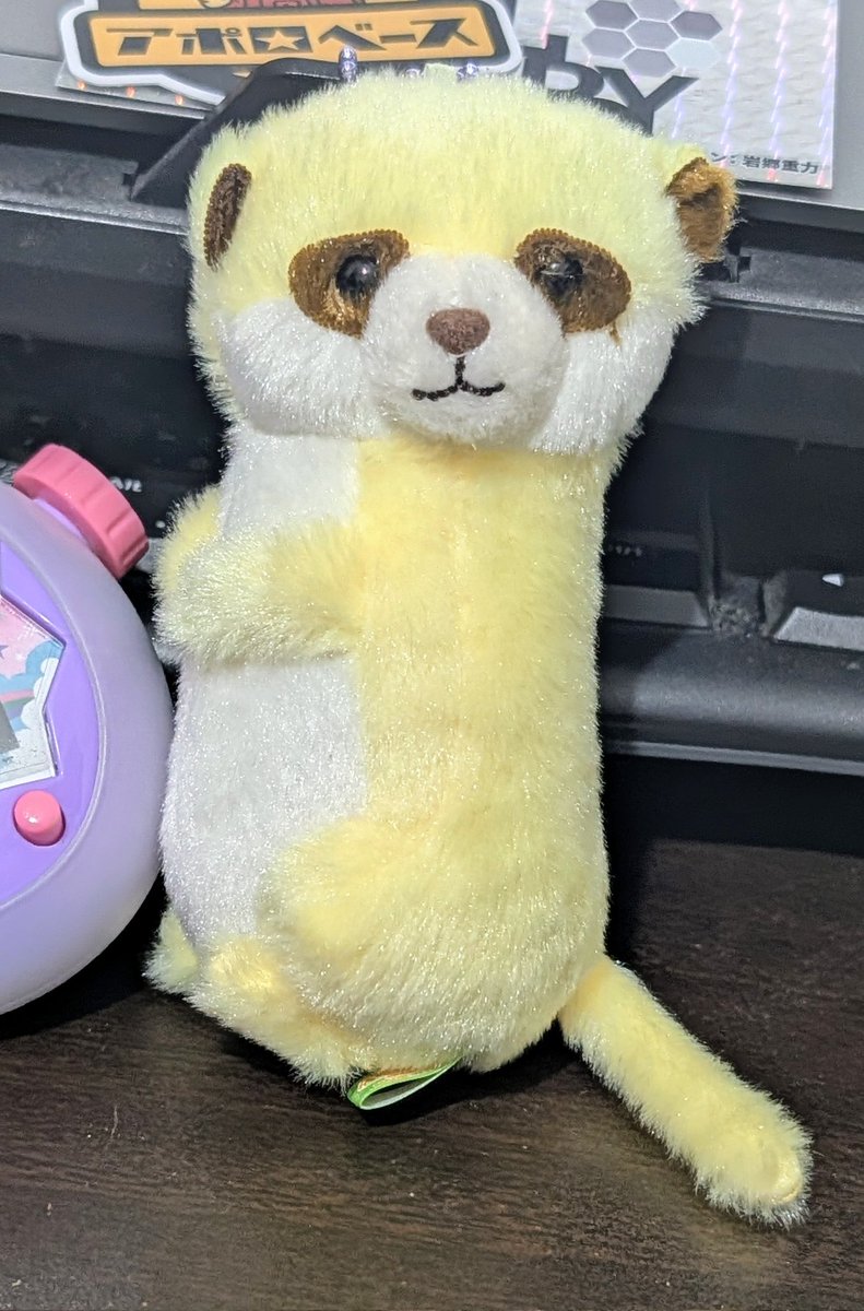 かまたり tweet media