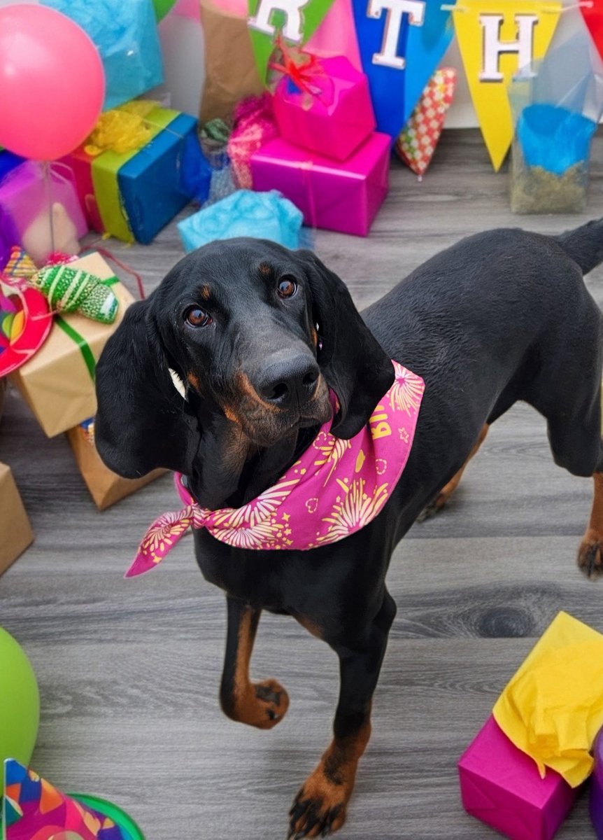 lysa 🤍 (@lysaissa) on Twitter photo 