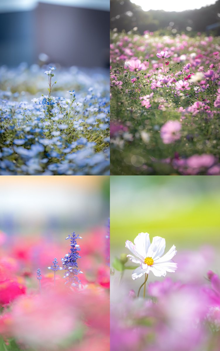 みつさん@ZX636G☄️ tweet media