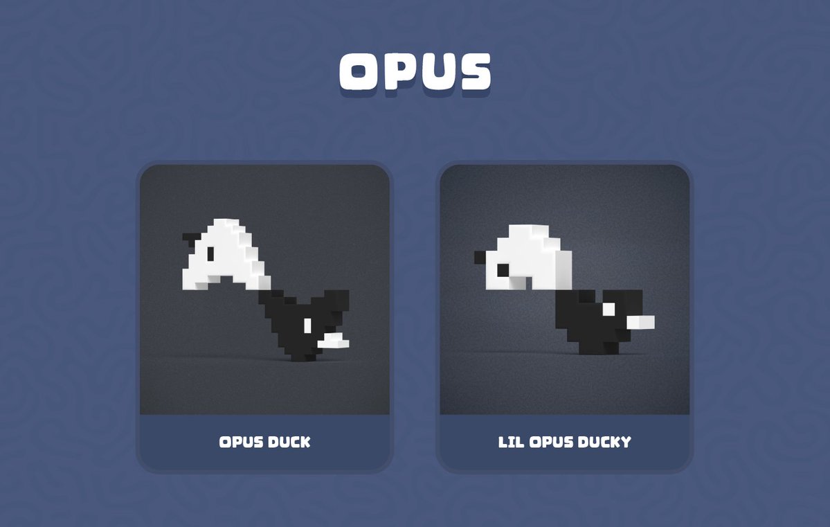 Ducks Everywhere 🦆 tweet media