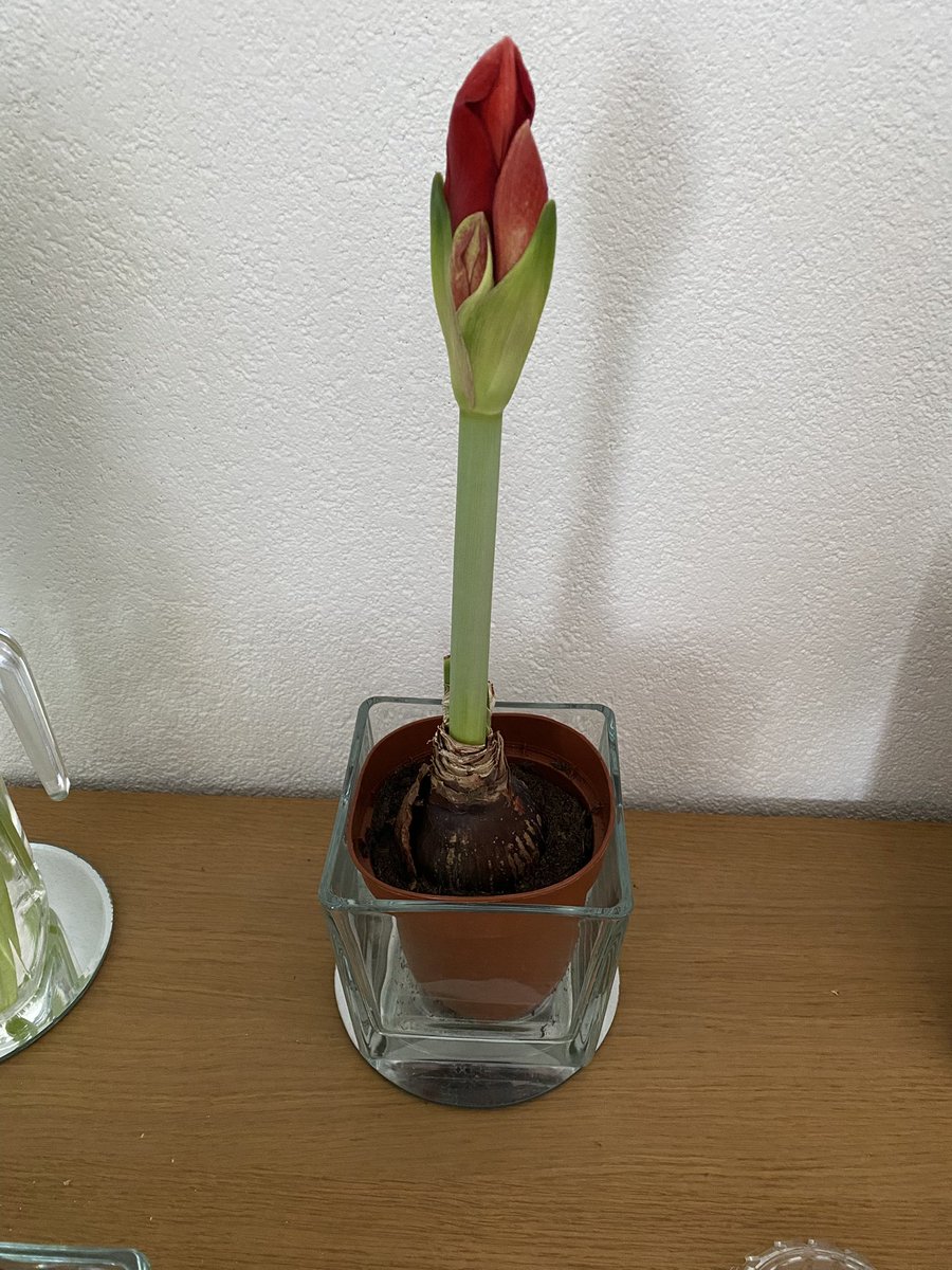 Gerrie de Vegt tweet media