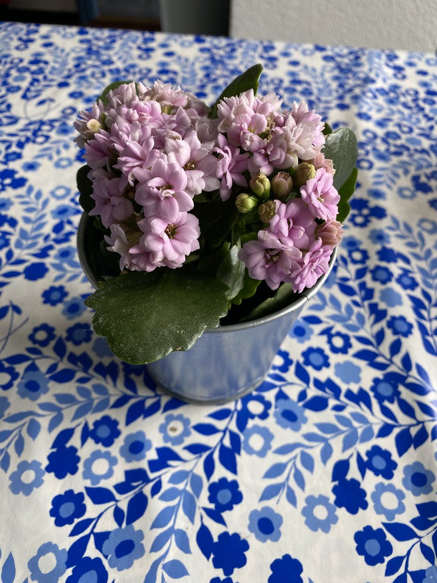 Gerrie de Vegt tweet media