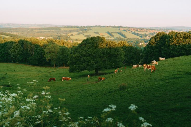 𝒍𝒖𝒏𝒂 tweet media