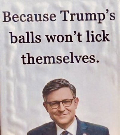 Bill wolf tweet media