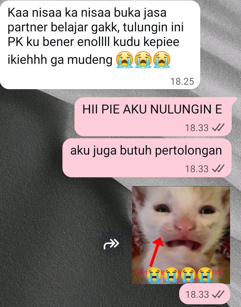 Anisa²⁵! Lolos pil. 1 tweet media