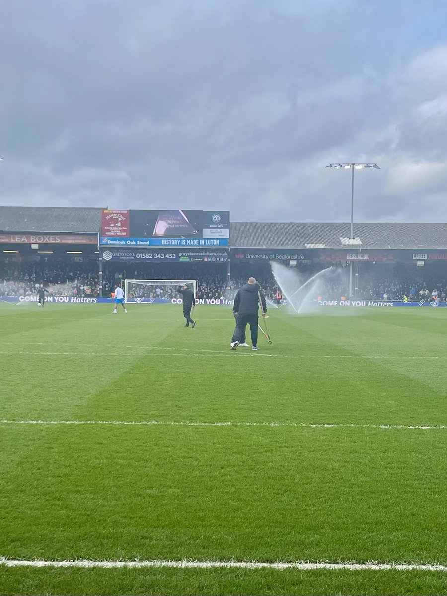 AndiCook1963's tweet photo. #COYH https://t.co/w7lr8GRmcq