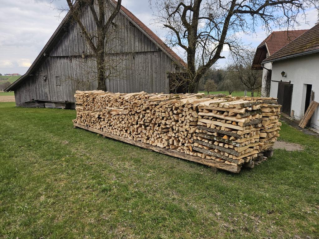 Dr.Disco (Knecht des Mini) tweet media