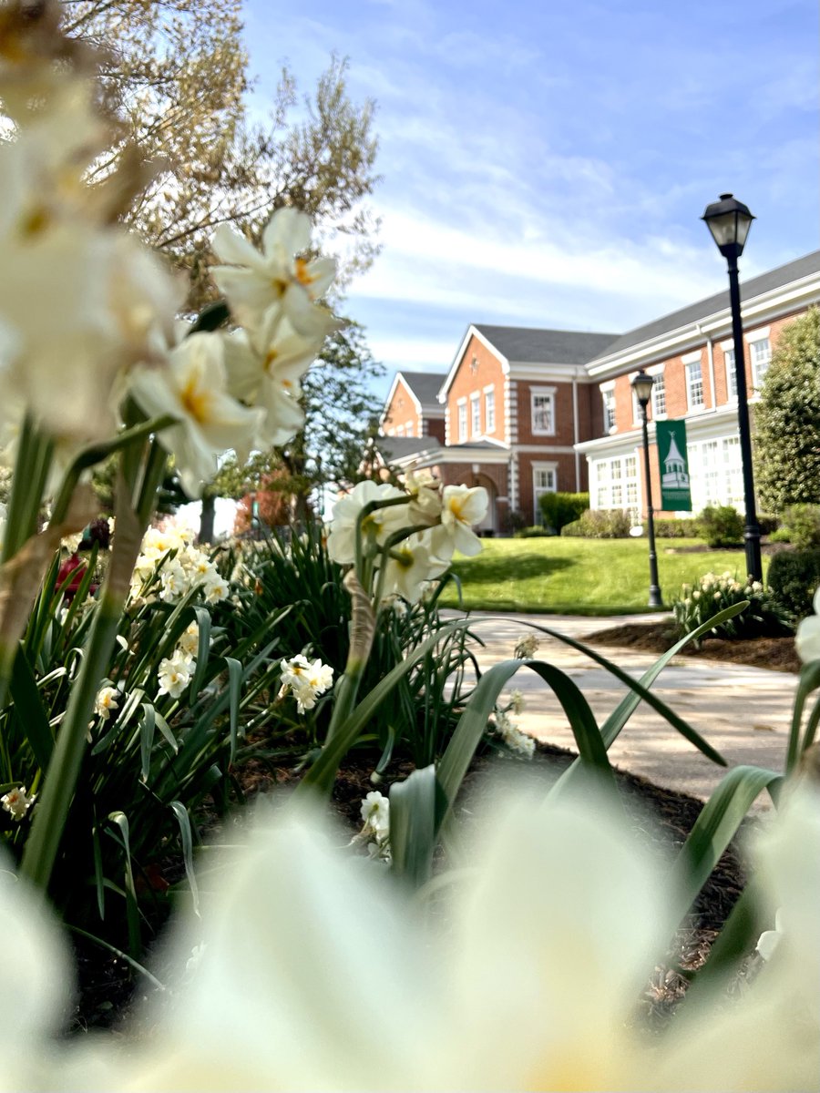 wilmu's tweet image. #WilmU will be closed for spring break from Friday, April 3 – Friday, April 10. Wishing all our Wildcats a relaxing and refreshing break. Enjoy your time off 🌸✨  Though all locations will be closed during this time, many services are still available ➡️ bit.ly/47COfIu