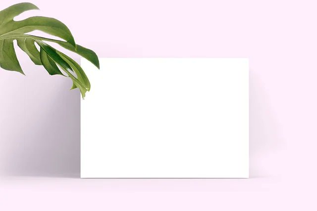 Marc Sevenfourgd tweet media