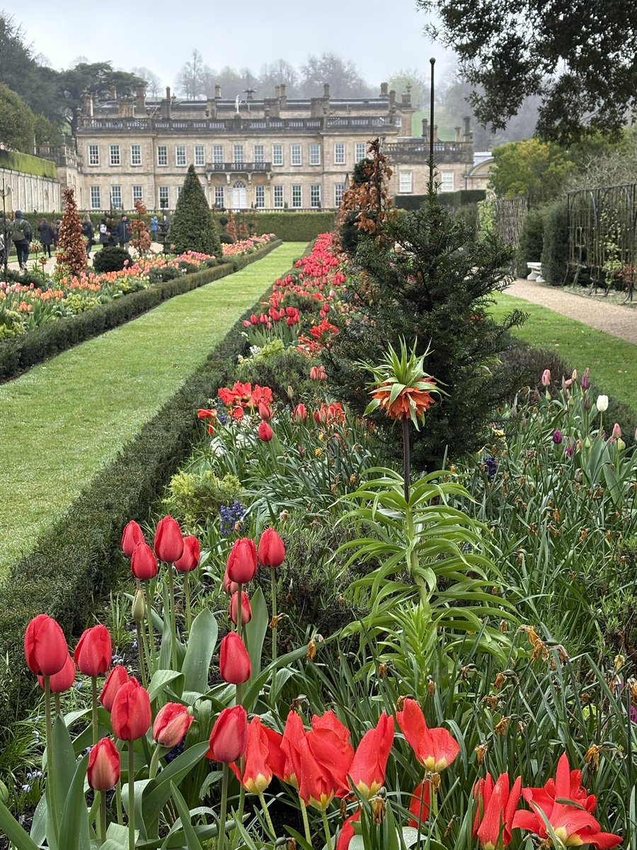 Jane Solomons tweet media