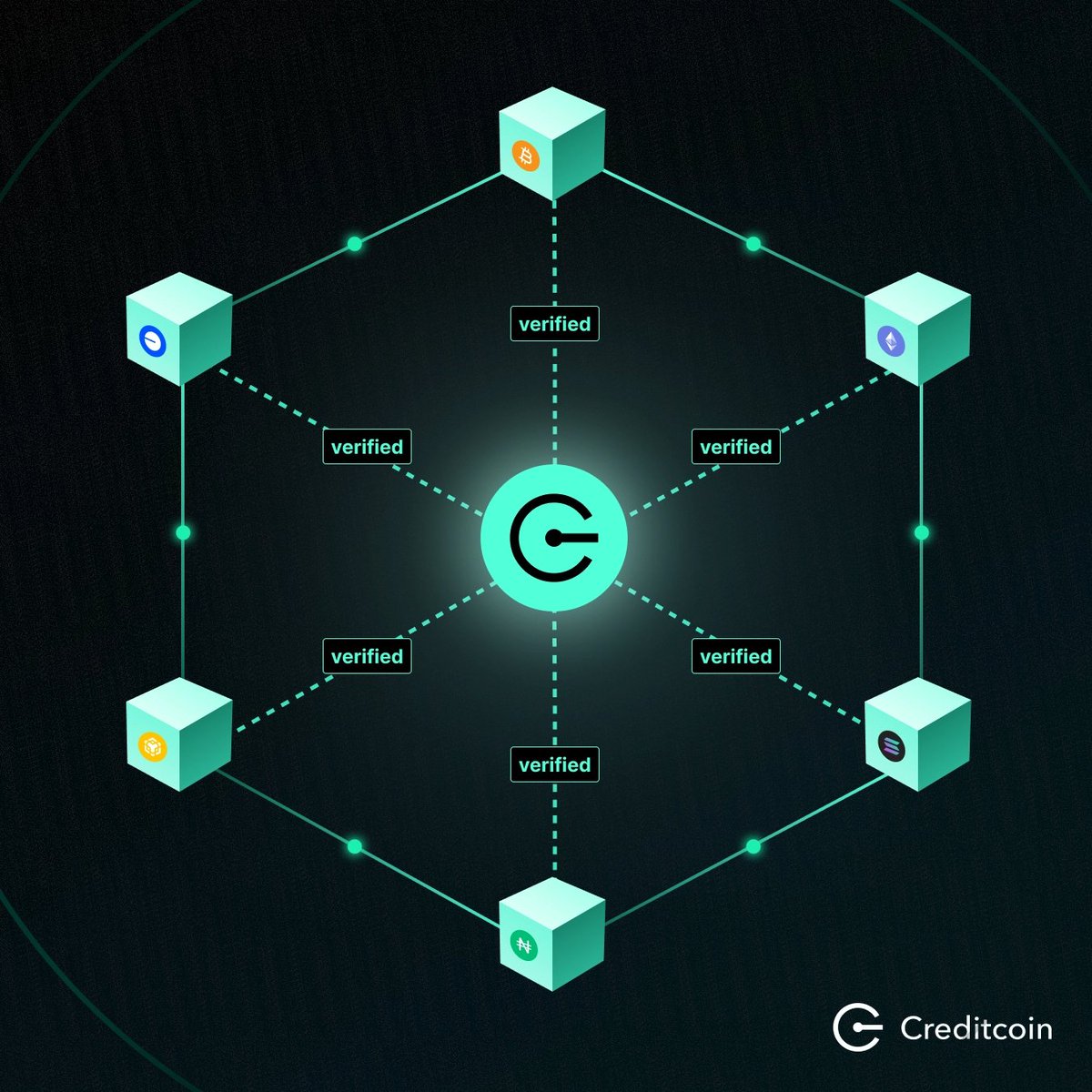 Creditcoin 🐧 tweet media