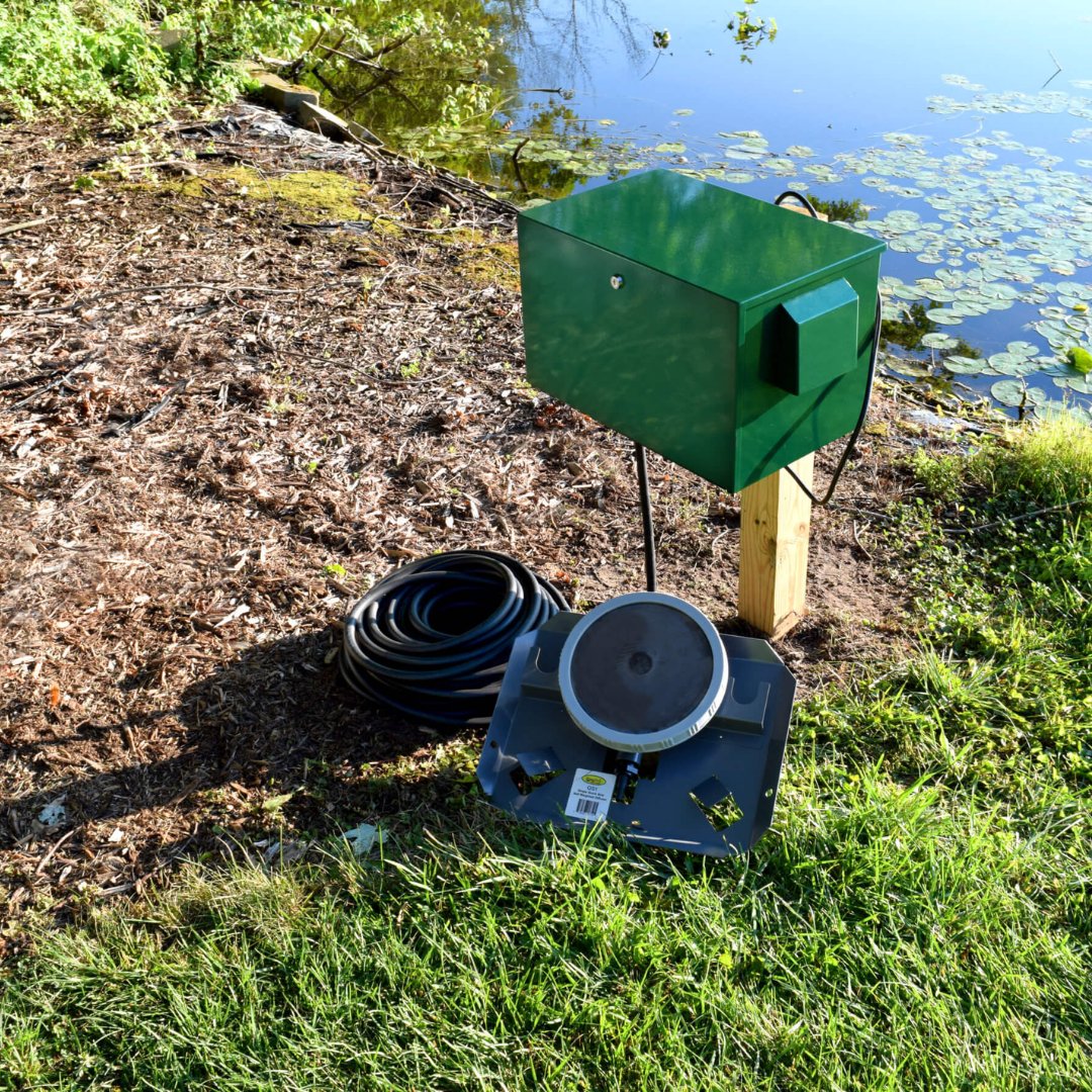 Healthy Ponds tweet media