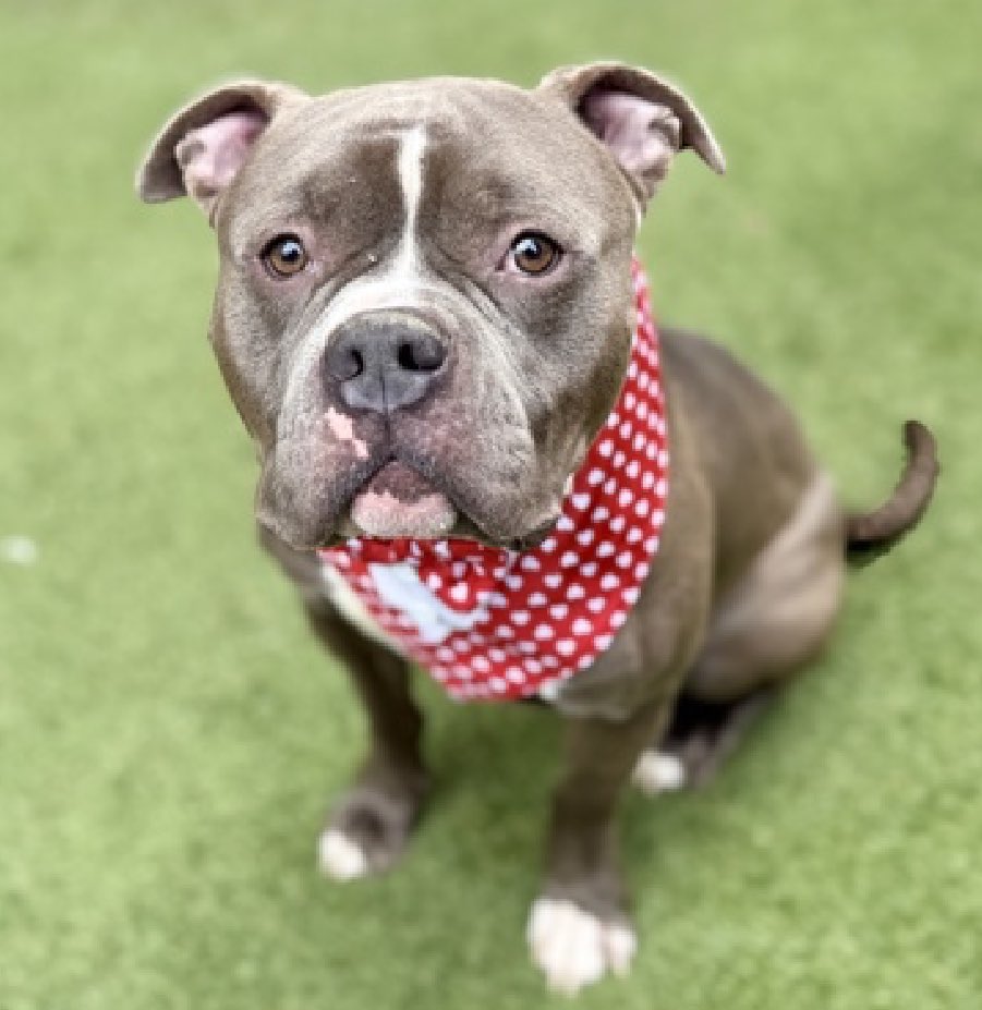 Julie🌻🐾 tweet media